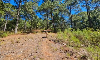 Bonito terreno en zona de bosque de mazamitla jalisco