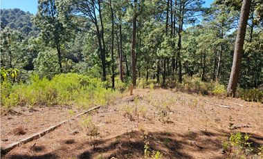 Bonito terreno en zona de bosque de mazamitla jalisco