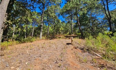 Bonito terreno en zona de bosque de mazamitla jalisco