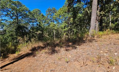 Bonito terreno en zona de bosque de mazamitla jalisco
