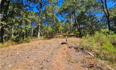 Bonito terreno en zona de bosque de mazamitla jalisco