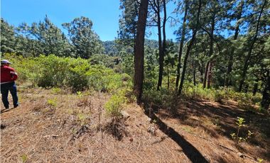 Bonito terreno en zona de bosque de mazamitla jalisco