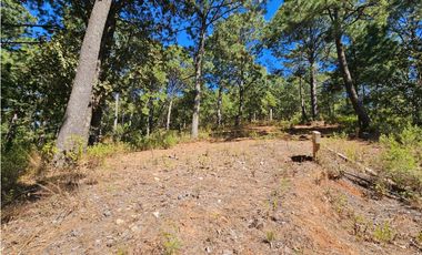 Bonito terreno en zona de bosque de mazamitla jalisco