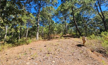 Bonito terreno en zona de bosque de mazamitla jalisco