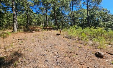 Bonito terreno en zona de bosque de mazamitla jalisco