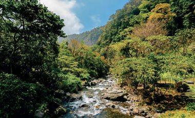 Invierte en el proyecto más exclusivo de Alto Boquete: