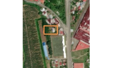 TERRENO / BOCAS DEL TORO / CHANGUINOLA / 2442M / AVENIDA PRINCIPAL