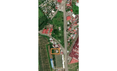 TERRENO / BOCAS DEL TORO / CHANGUINOLA / 2442M / AVENIDA PRINCIPAL