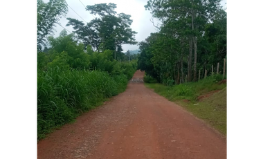 SE VENDE CASA DE CAMPO EN PENONOMÉ CON 3 HABITACION Y PATIO AMPLIO