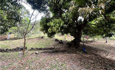 Venta de terreno con casa frente al Río Pacora, Vía hacia San Miguel