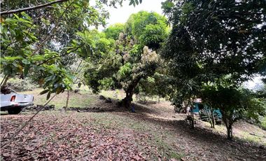 Venta de terreno con casa frente al Río Pacora, Vía hacia San Miguel