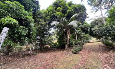 Venta de terreno con casa frente al Río Pacora, Vía hacia San Miguel