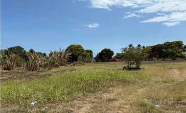 SAN JOSE / VIA PANAMERICANA / 7350M / DESARROLLO COMERCIAL / AG