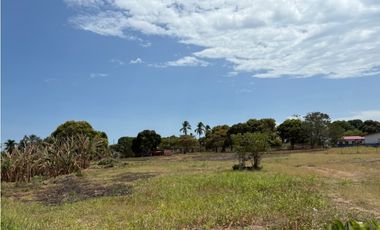 SAN JOSE / VIA PANAMERICANA / 7350M / DESARROLLO COMERCIAL / AG