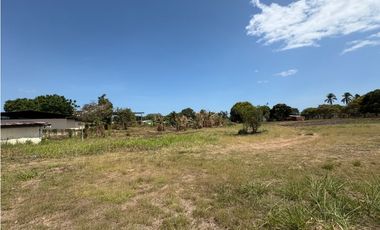 SAN JOSE / VIA PANAMERICANA / 7350M / DESARROLLO COMERCIAL / AG