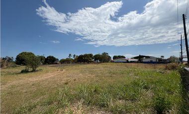 SAN JOSE / VIA PANAMERICANA / 7350M / DESARROLLO COMERCIAL / AG