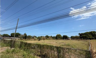 SAN JOSE / VIA PANAMERICANA / 7350M / DESARROLLO COMERCIAL / AG