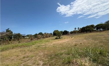 SAN JOSE / VIA PANAMERICANA / 7350M / DESARROLLO COMERCIAL / AG