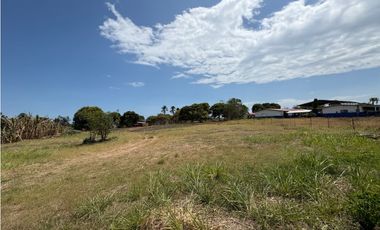 SAN JOSE / VIA PANAMERICANA / 7350M / DESARROLLO COMERCIAL / AG