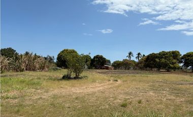 SAN JOSE / VIA PANAMERICANA / 7350M / DESARROLLO COMERCIAL / AG