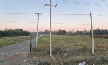 Parcela en Venta en Yerbas Buenas, El Olivar, Ruta L-25