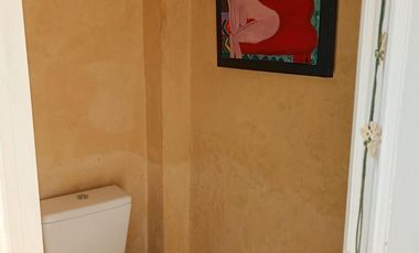 PH de 4 ambientes   2 cocheras en  alquiler en Olivos