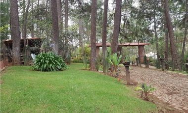 Hermosa cabaña rustica ubicada en el bosque
