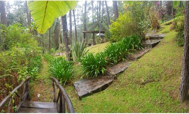Hermosa cabaña rustica ubicada en el bosque