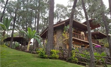 Hermosa cabaña rustica ubicada en el bosque