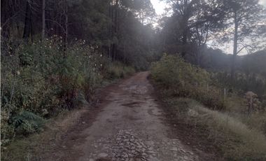 Bonito Terreno amplio en zona de Bosque de Mazamitla Jalisco