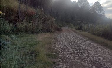 Bonito Terreno amplio en zona de Bosque de Mazamitla Jalisco