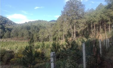 Bonito Terreno amplio en zona de Bosque de Mazamitla Jalisco