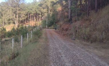 Bonito Terreno amplio en zona de Bosque de Mazamitla Jalisco