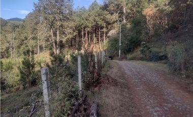 Bonito Terreno amplio en zona de Bosque de Mazamitla Jalisco