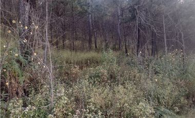 Bonito Terreno amplio en zona de Bosque de Mazamitla Jalisco