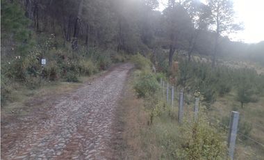 Bonito Terreno amplio en zona de Bosque de Mazamitla Jalisco