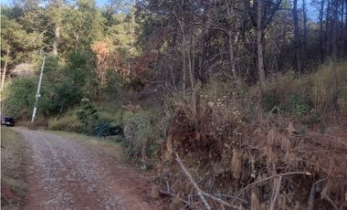 Bonito Terreno amplio en zona de Bosque de Mazamitla Jalisco