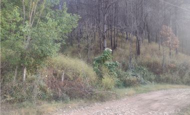 Bonito Terreno amplio en zona de Bosque de Mazamitla Jalisco