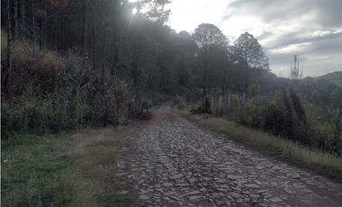 Bonito Terreno amplio en zona de Bosque de Mazamitla Jalisco