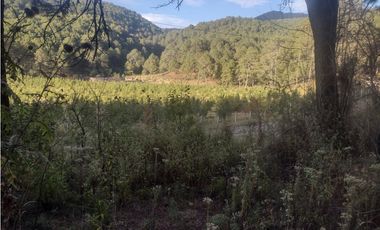 Bonito Terreno amplio en zona de Bosque de Mazamitla Jalisco
