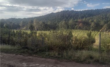 Bonito Terreno amplio en zona de Bosque de Mazamitla Jalisco