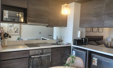 SE ARRIENDA DEPTO AV BORGOÑO AMOBLADO ESTUDIO CON CON