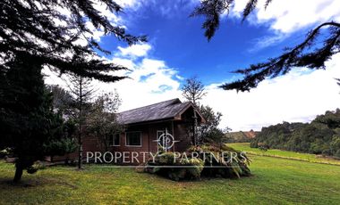 Arriendo acogedora casa en parcelación «Santa Rosa», entrada norte Puerto Varas