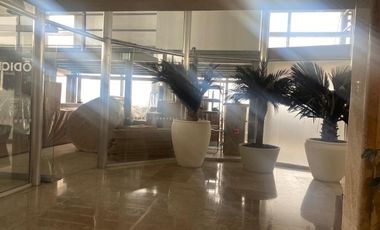 OFICINAS EN RENTA EN TORRE PERISUR  $ 441 MT2