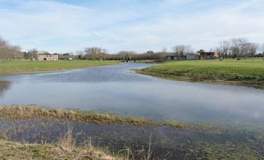 Departamento en alquiler de 2 ambientes amoblado en Greenville - Terrazas al Polo Hudson Berazategui