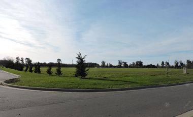 Departamento en alquiler de 2 ambientes amoblado en Greenville - Terrazas al Polo Hudson Berazategui