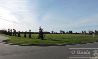 Departamento en alquiler de 2 ambientes amoblado en Greenville - Terrazas al Polo Hudson Berazategui