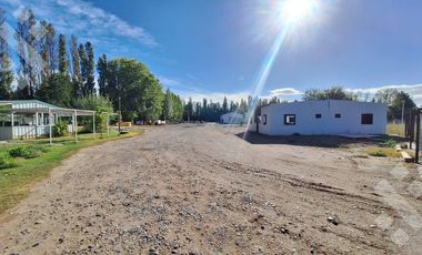 En Alquiler, Oficinas comerciales, calle Rio Colorado, Plottier