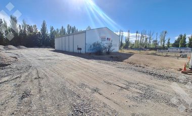 En Alquiler, Oficinas comerciales, calle Rio Colorado, Plottier