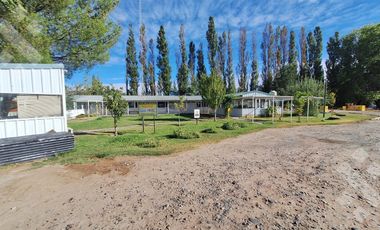 En Alquiler, Oficinas comerciales, calle Rio Colorado, Plottier